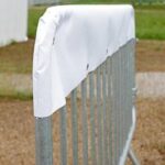 Protezione-adesiva-antibatterica